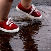 The Little Red Shoes L