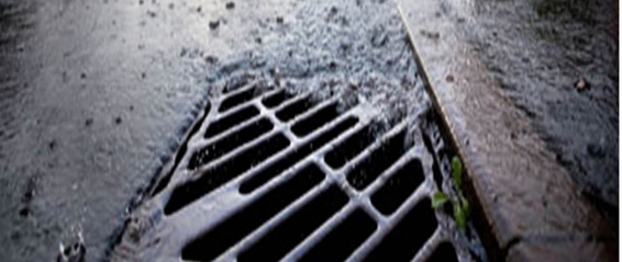 In-Lake Wetland Filtration Watershed