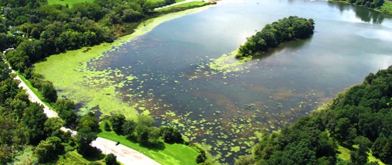 5 Lake Restoration Myths Slider 11