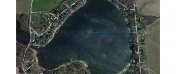 40% Curly-Leaf Pondweed Reduction in One Year Keeler Lake