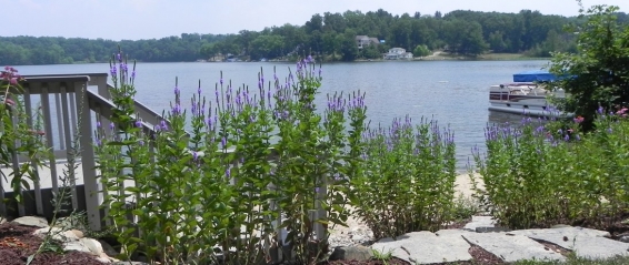 Nutrient Filtration: Protect Your Lake from Incoming Pollutants Shoreline Buffer