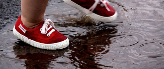 A Pond IS NOT a Lake! The Little Red Shoes L