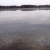 Pickerel Lake Picture Milfoil Featured