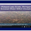 “Before” Video: Eurasian Milfoil Infestation Pickerel Lake Video Image1