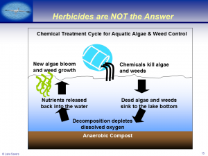 herbicides not answer ppt