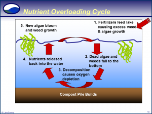nutrient overload cycle