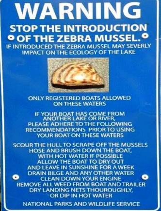 Zebra Mussels Warning