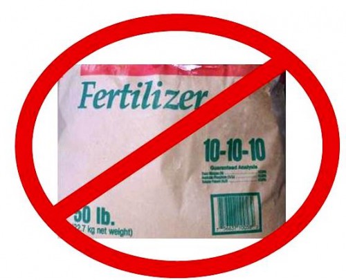 no Fertilizer